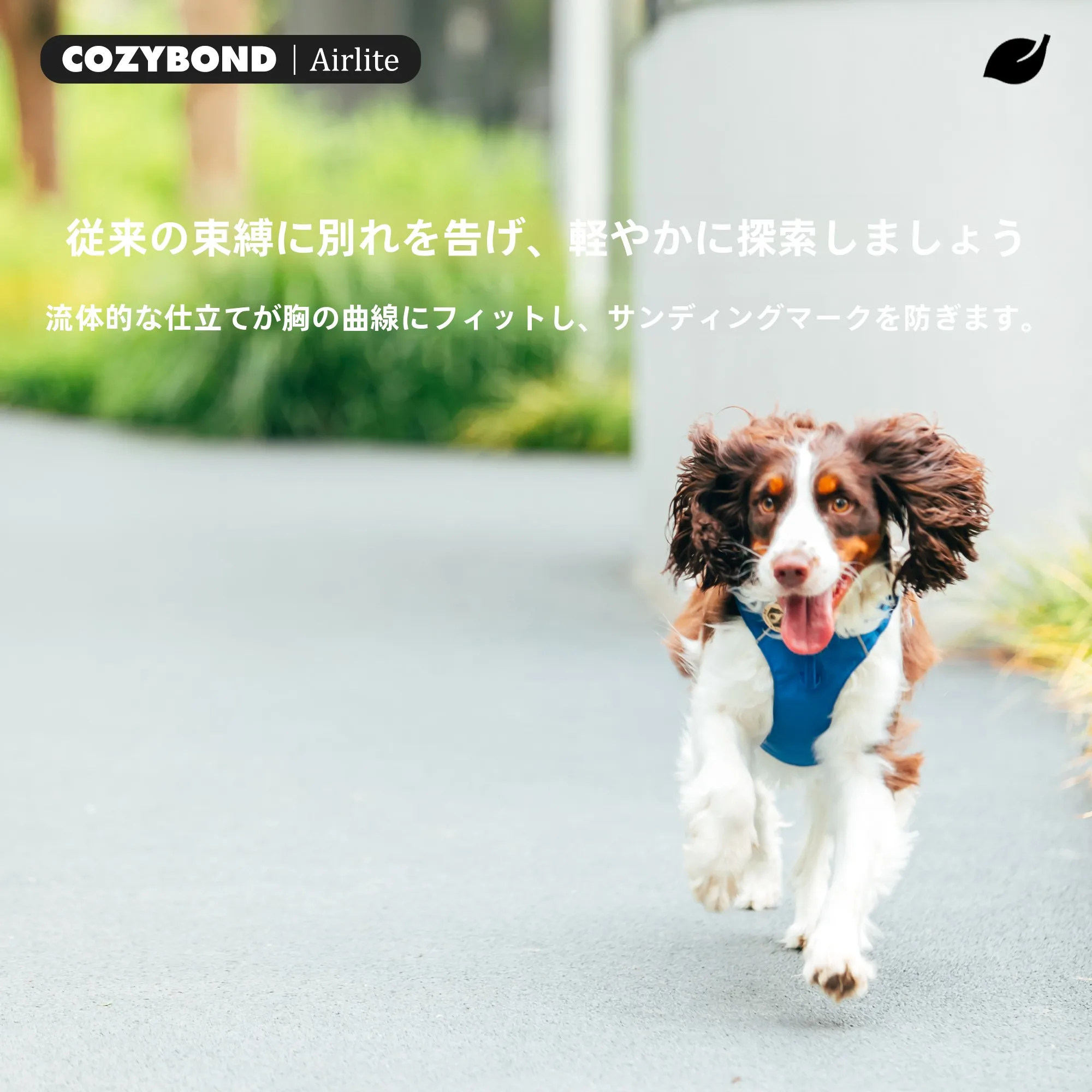 軽量ドッグハーネス 大中小型犬対応 チェストサポート型の実用性とサイズガイド