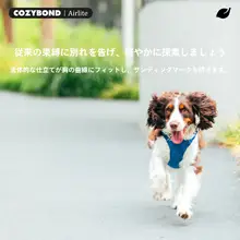 軽量ドッグハーネス【ペット用・防爆・胸部サポート・大中小型犬対応】