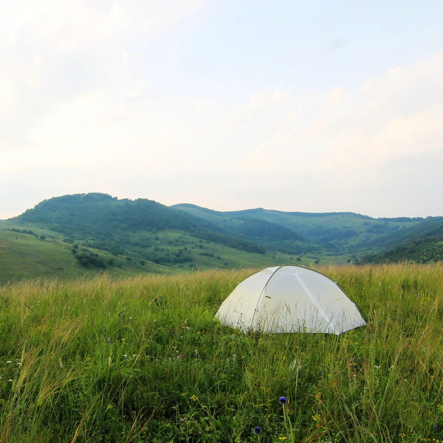 軽量アウトドアテント【登山・キャンプ用・超軽量・ポール式】の選び方と実用性を徹底解説