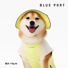 ペット用紫外線遮蔽帽子【犬猫対応・おしゃれデザイン・テディ・フレンチブルドッグ用】