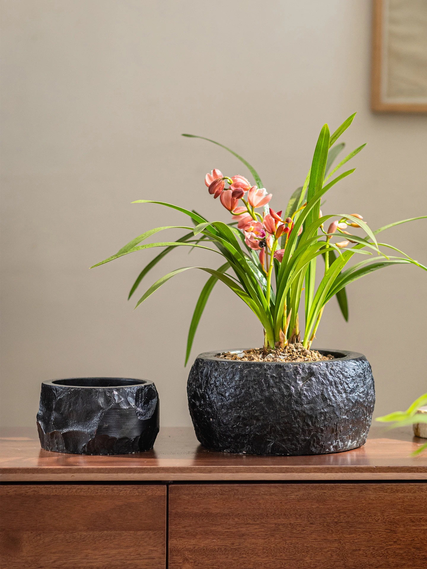 シンプルなコンクリート製フラワーポット：ほったらかしで毎年咲く花を育てるための家庭用プランター