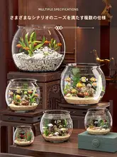 友耐 丸型アクアリウム【プラスチック一体成型・衝撃吸収・デスクトップ用・小型エコ水槽】