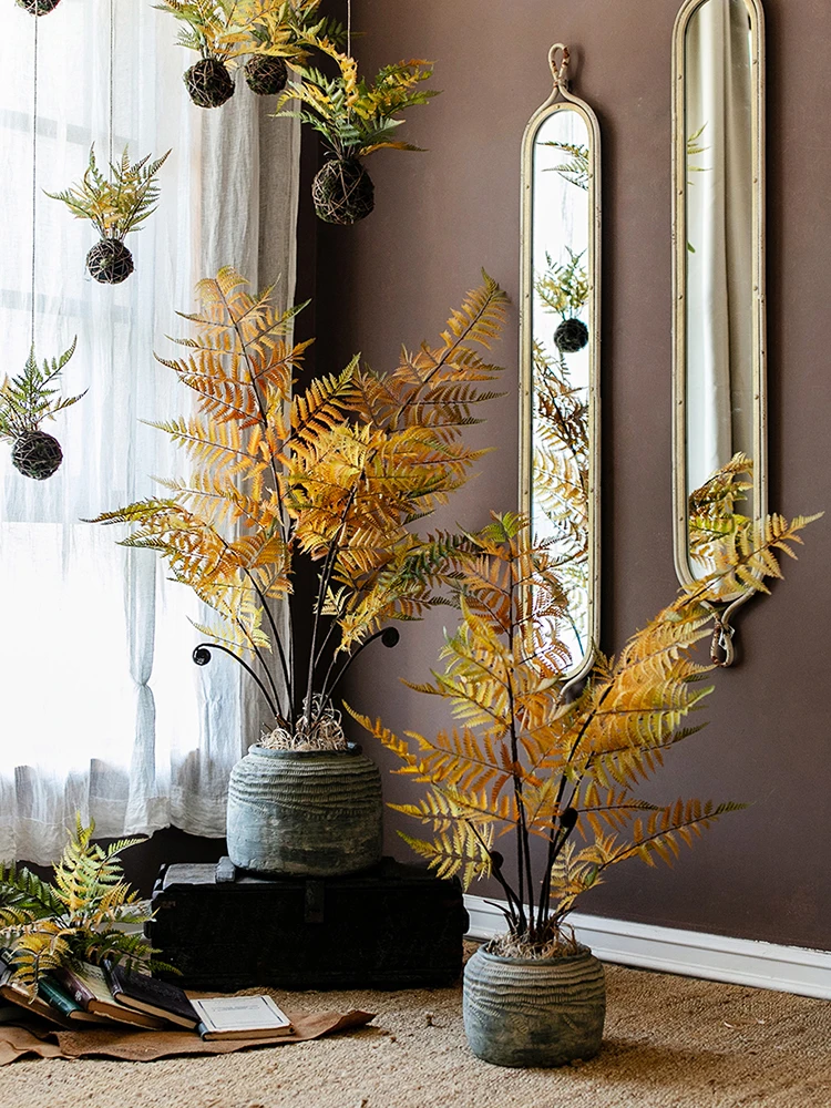 ハエトリグサを模したシダ吊り球植物：日陰でも育つ屋外装飾品の実用性と特性
