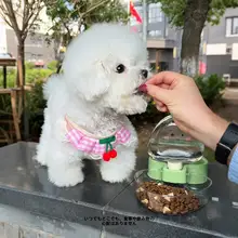 ペット用折りたたみ式水分補給器【犬用・水と餌が一体型・持ち運び便利】