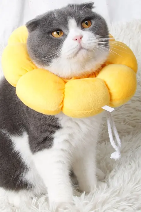 ペット用エリザベスカラー【柔らかい素材・防舐用・犬猫兼用】