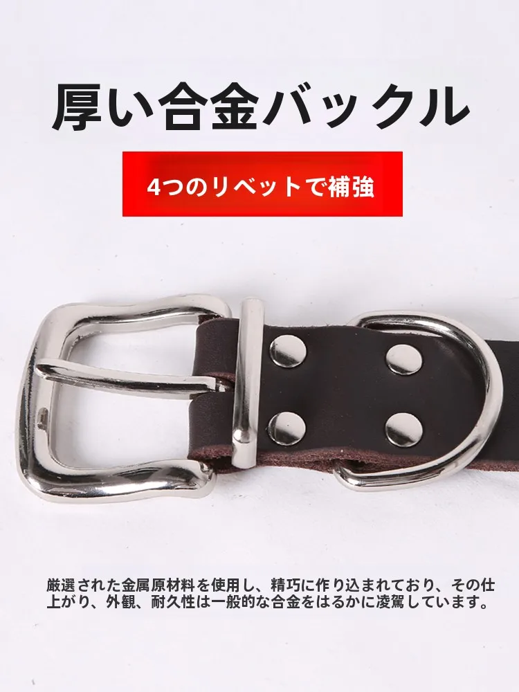 犬のお散歩グッズをコスパ良く揃える方法　完全ガイド