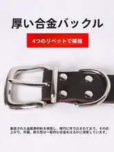 ベルギー輸入 牛革製ペット用リードとソフトレザー首輪【大型犬・中型犬・小型犬対応】