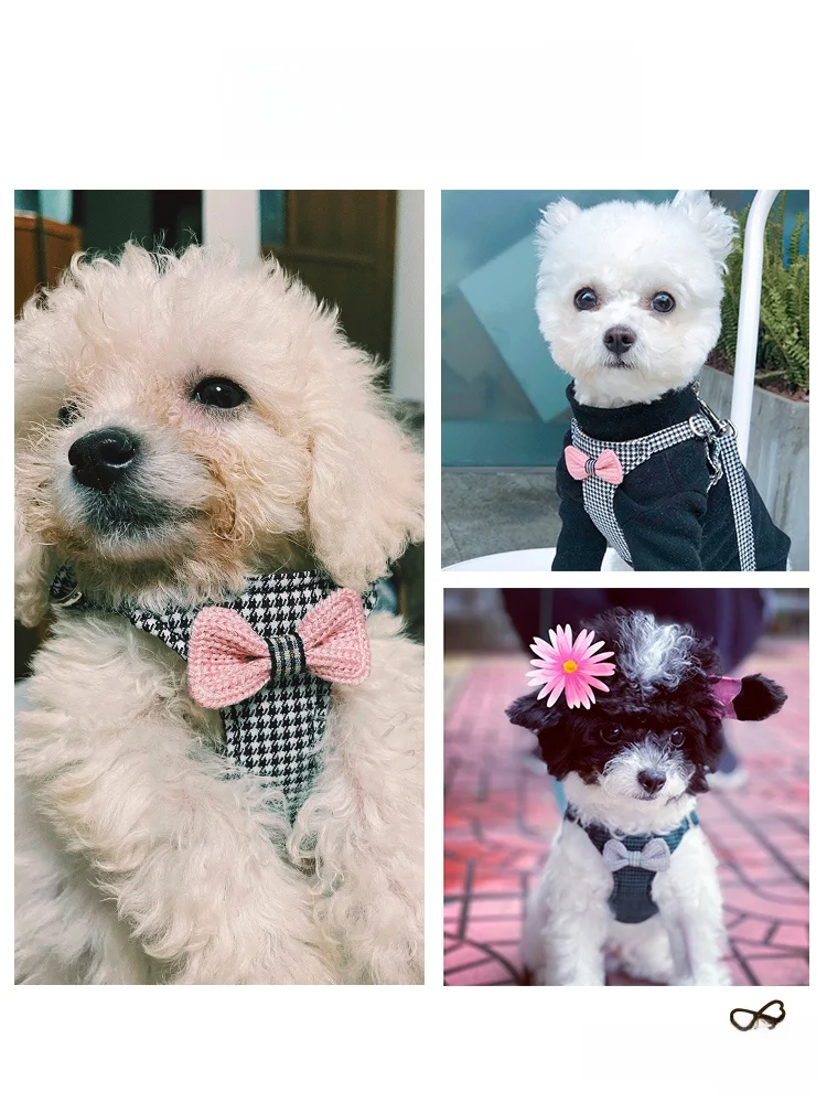 犬のお散歩グッズをコスパ良く揃える方法｜調整可能なハーネス型リードの選び方完全ガイド