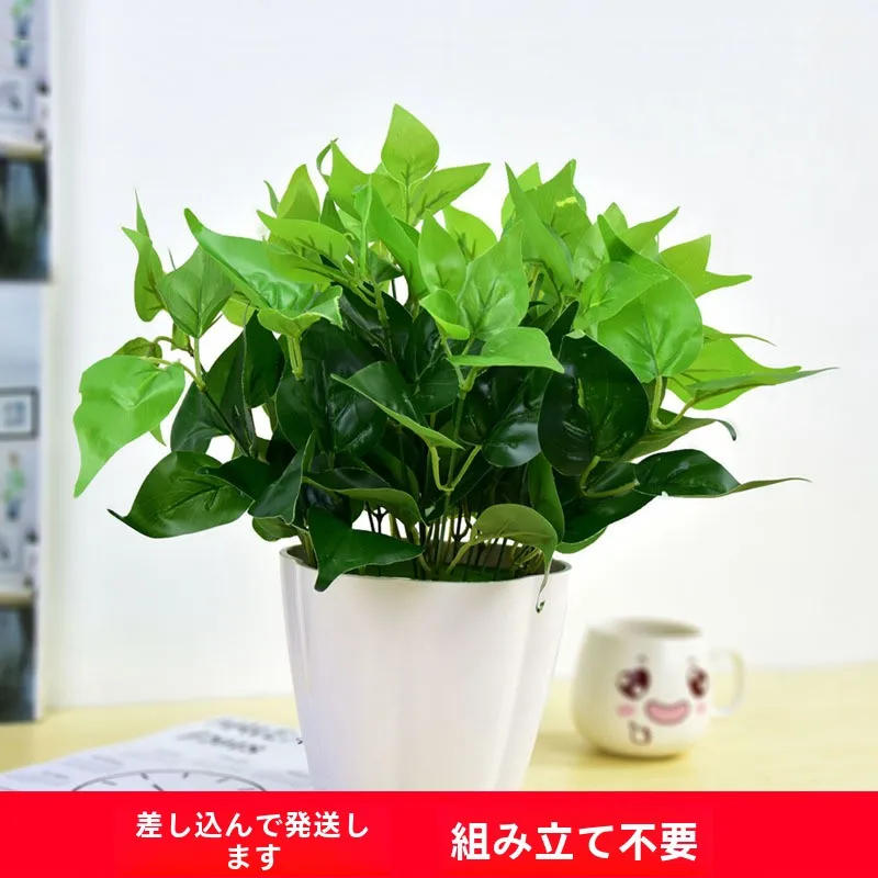 韓国インテリアを再現｜カフェ風部屋の作り方　リアルな造形植物の選び方完全ガイド
