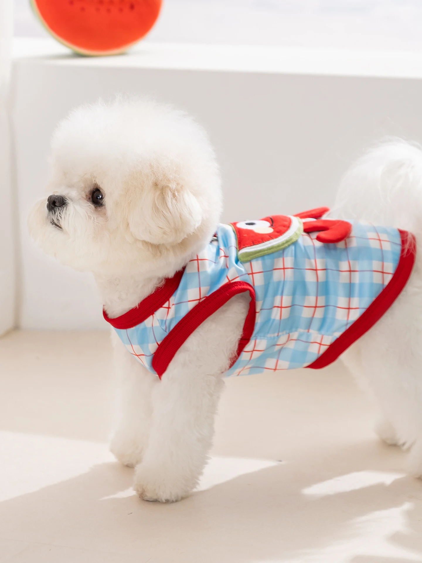 春夏用ペットウェア：小型犬用の薄手背心で快適な日常を実現