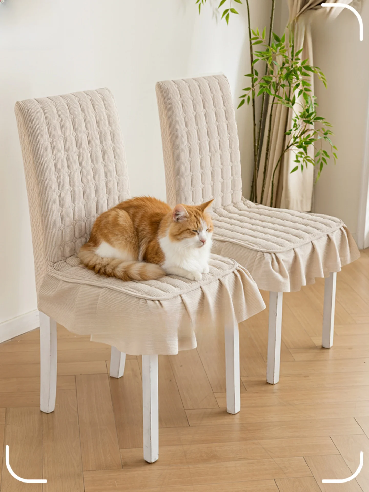 リビングに合う家具をどう選ぶ？その答えは「猫がひっかくこと」から始まる