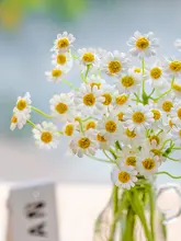 花飾り 小さなデイジー リビング用装飾 グリーン植物 偽造花 美しい形状