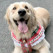 クリスマス用 犬用スカーフ【中型・大型犬用・鈴飾り付き】
