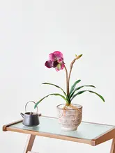 造花 鉢植え オーキッド 卓上 テーブルデコ 室内 インテリア