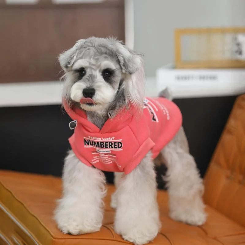 冬の通勤で犬が寒くならない方法は？小型犬用フリースセーターの選び方