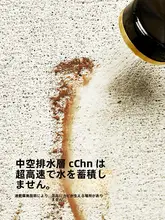 防滑耐汚れのバスルームマット【シリコン製・家庭用・安全設計】