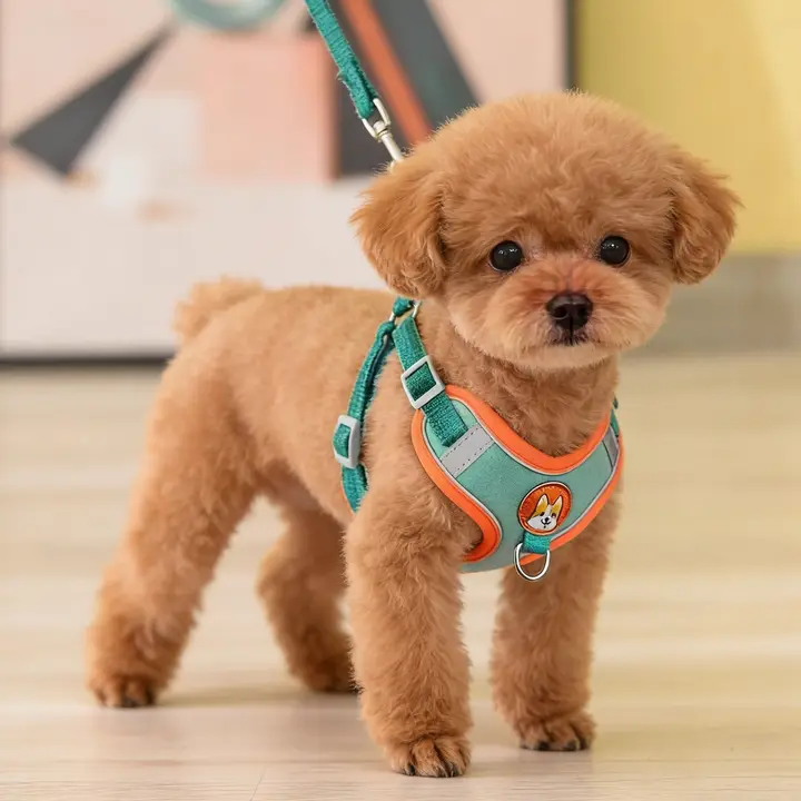 小型犬用 胸当て式ハーネスリード【柔らかく通気性抜群・脱出防止】