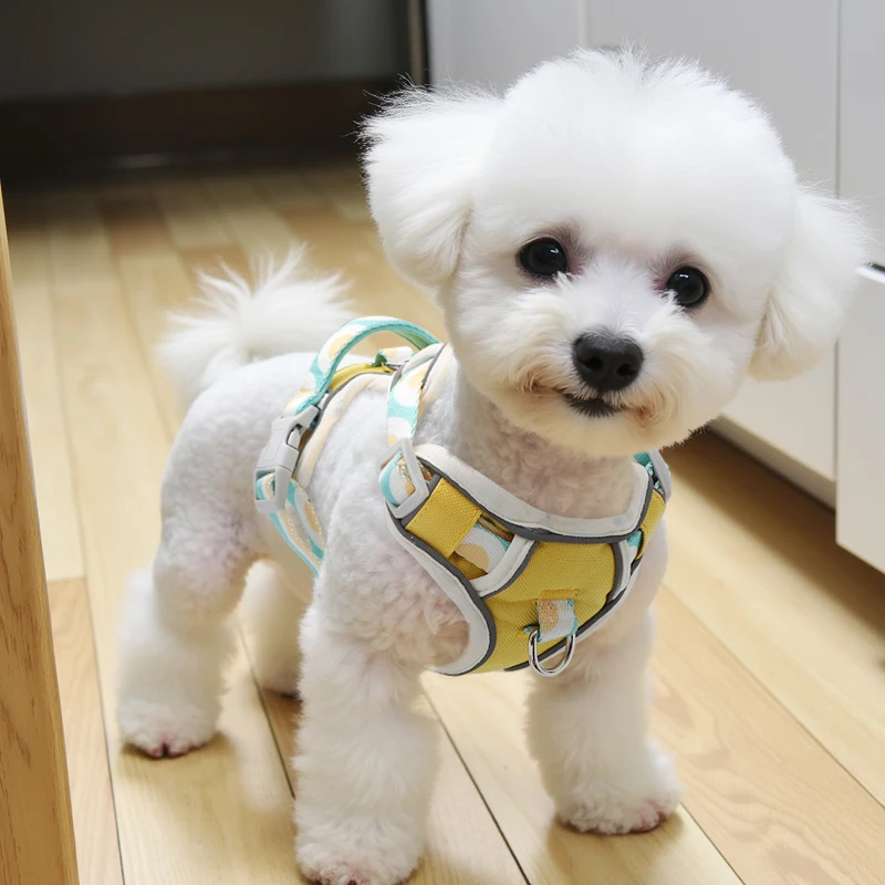 小型犬用リードハーネス PETa ガーリーピンク・オブシディアンブラックの実用性と設計特性
