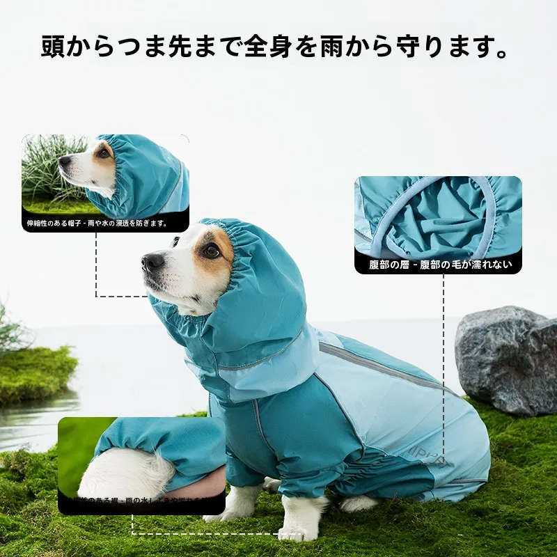 犬のお散歩グッズをコスパ良く揃える方法｜実際の使い心地から解説