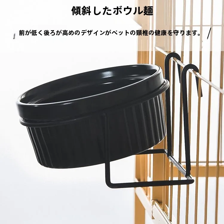猫の食器選びで悩むなら、このセラミックボウルが本当に救ってくれる？