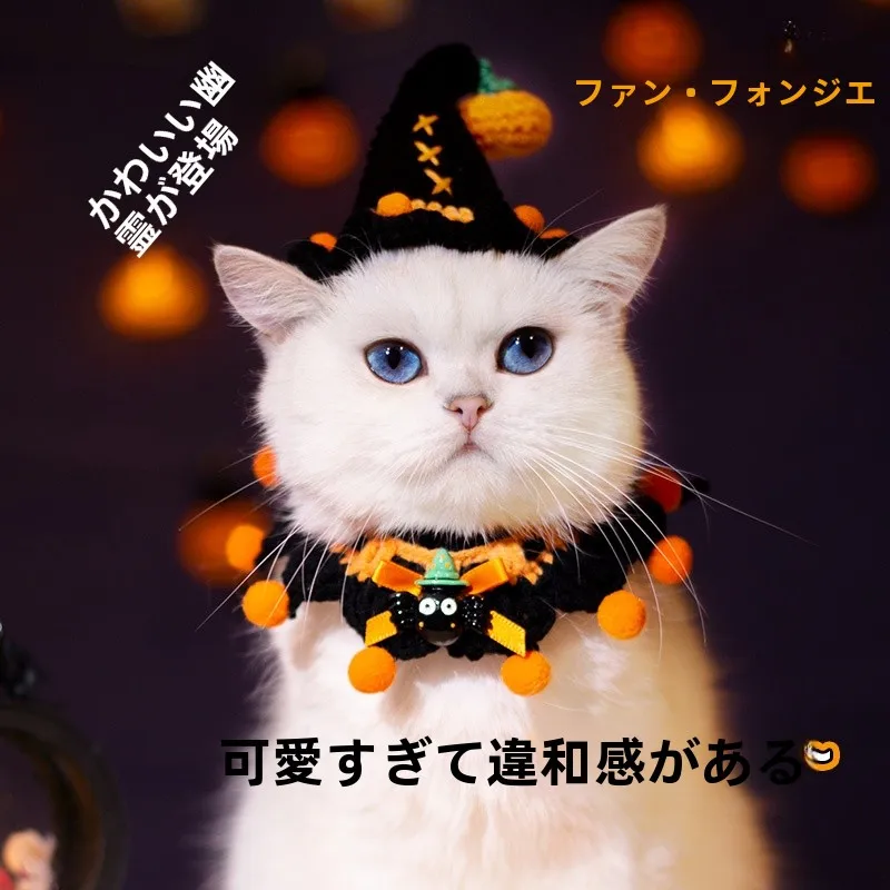 ハロウィンの季節に、ペットに「あったかさ」を届けるには？