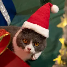ペット用猫用クリスマススカーフ【かわいい・保温・赤色・犬用兼用】
