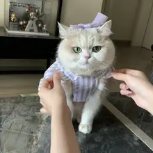猫用 夏用 プリンセススタイル 薄手ドレス【毛が抜けにくい・ブルー・ホワイト・金色グラデーション・紫】