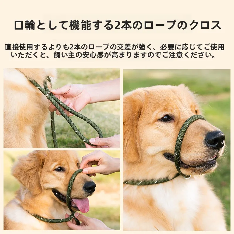 ポメラニアン用強化リード：逃げ防止と小型犬対応の実用性を検証