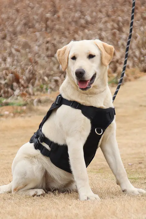 犬用アウトドアタクティカルハーネス【多機能・調節可能】