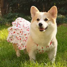 犬用公主ドレス【春夏用・コーギー・チワワ対応・可愛い透け感・軽量】（セットアップ対応）
