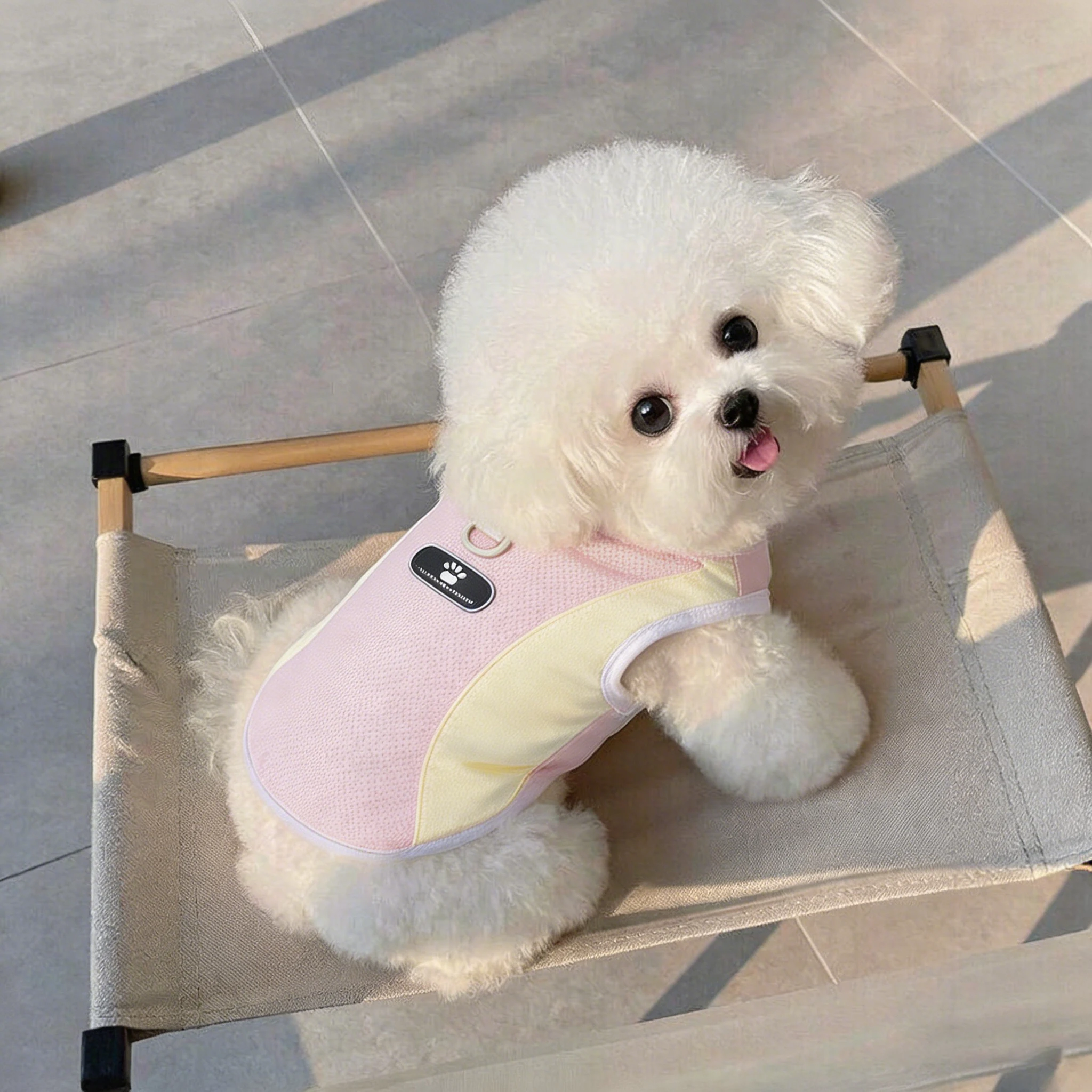 犬の夏用服はどんなもので、通気性と涼感が両立するの？