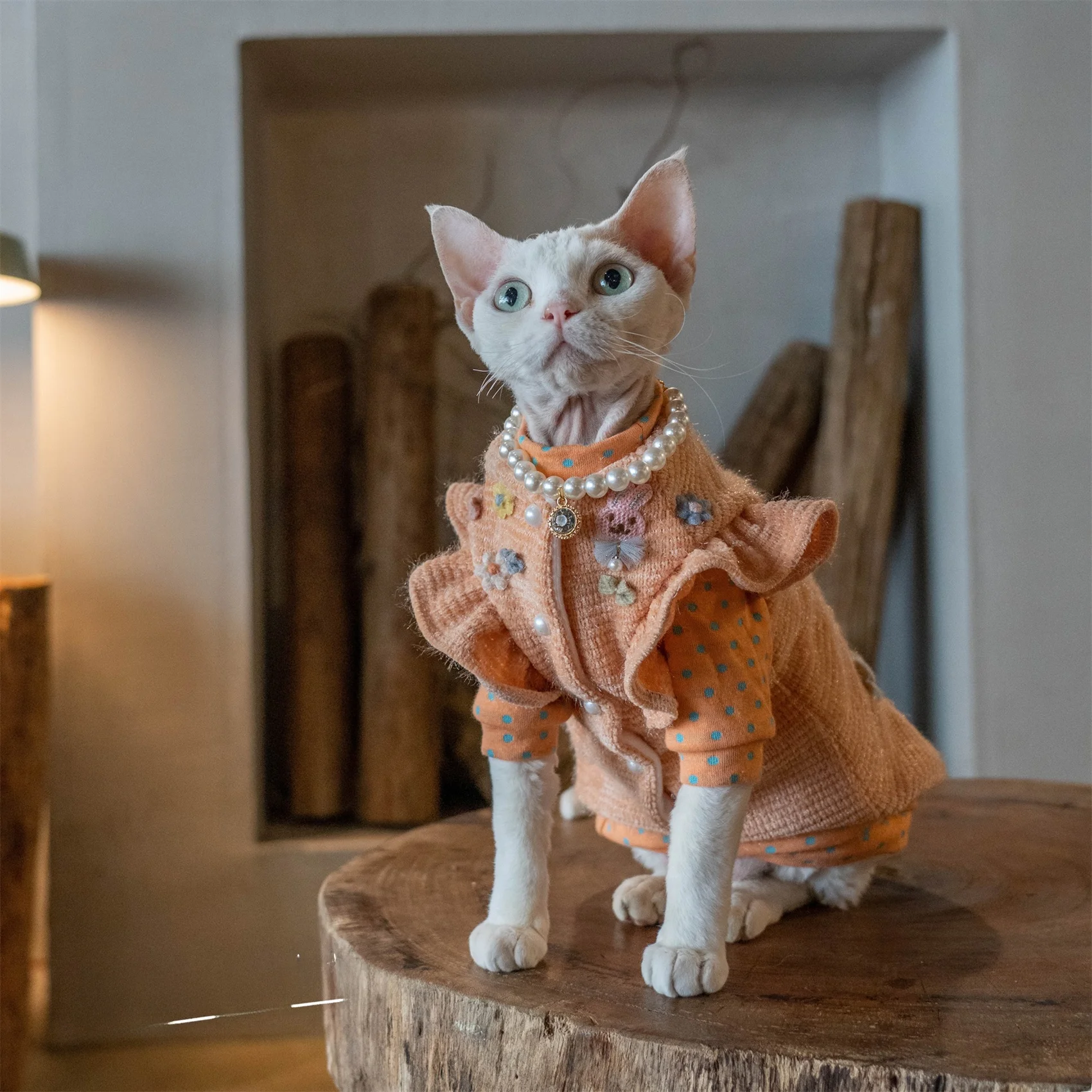 一人暮らし向け無毛猫用セーターコート GINGERAIN フリース裏地モデルの実用性解析
