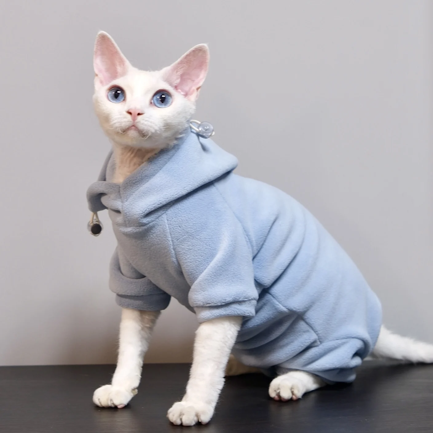 猫飼いが買ってよかったもの・悪かったもの正直に言う｜スフィンクス猫向け冬用パーカーの実測ガイド