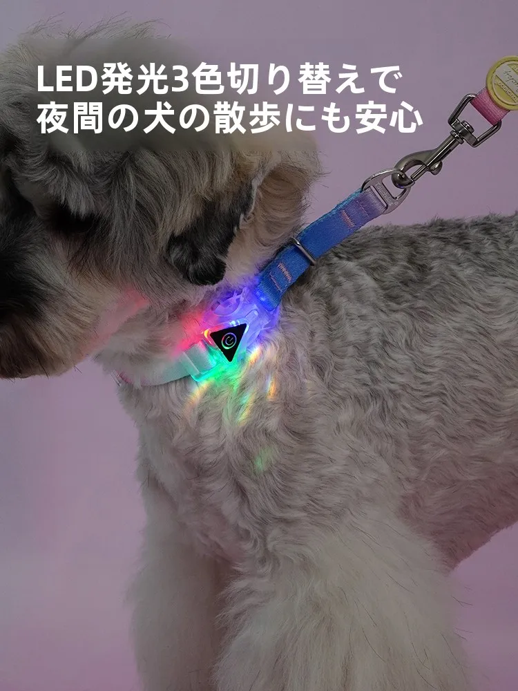 犬とキャンプでリードが不安になるとき、どう選ぶ？