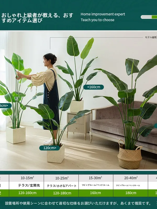 でかい観葉植物を部屋に導入するには？リアルな選び方と、心を癒す存在の秘密