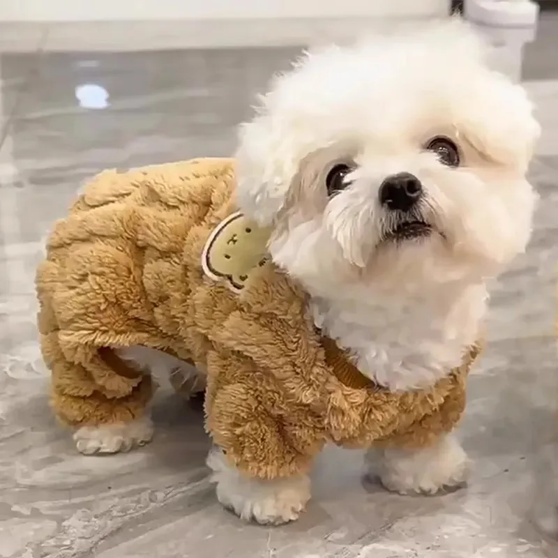 柴犬服専門店で選ぶべきペット用四脚衣の実用性とスペック