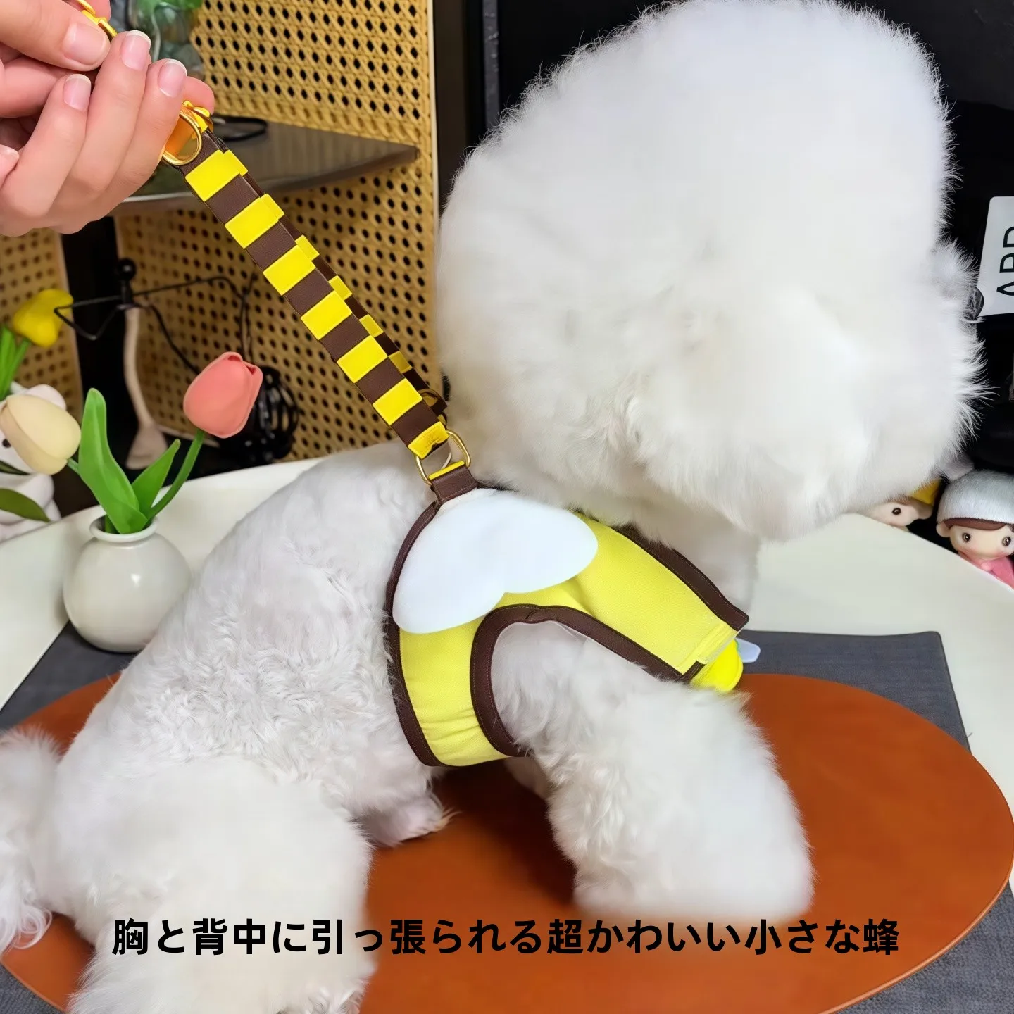 可愛いハチデザインの中小型犬用ハーネス：胸掛けスタイルで安全かつ快適な散歩を実現