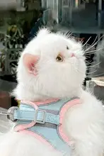 可愛い猫用ハーネス【反射材・脱走防止・お出かけ用】