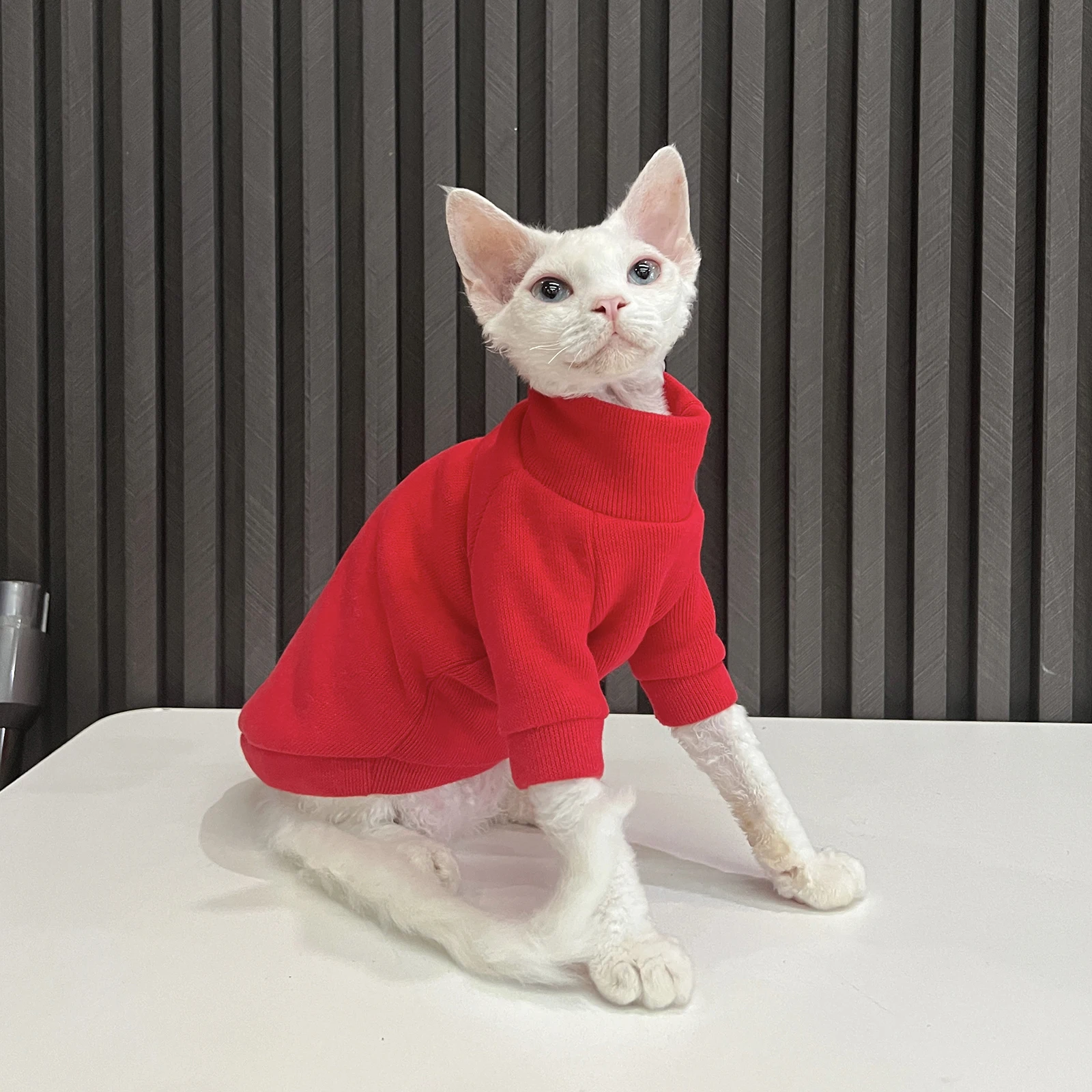 暖かさとスタイルを両立する猫用フリースセーター：一人暮らしに最適な無毛猫向けアイテム