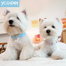 真皮製 犬用首輪とリード【中小型犬対応】
