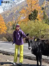 防風防水の登山用ハードシェルパンツ【アウトドア・女性用】（セットアップ対応）