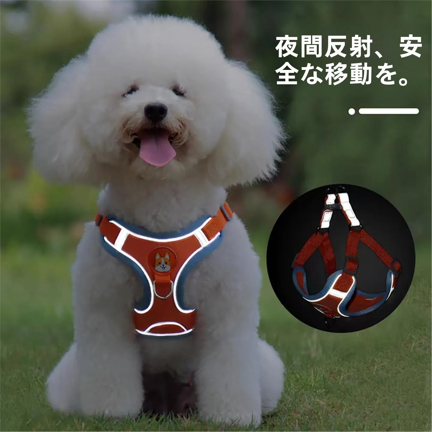 中型犬用ハーネスリード：ハーネスタイプの胸部サポート機能と通気性のバランス