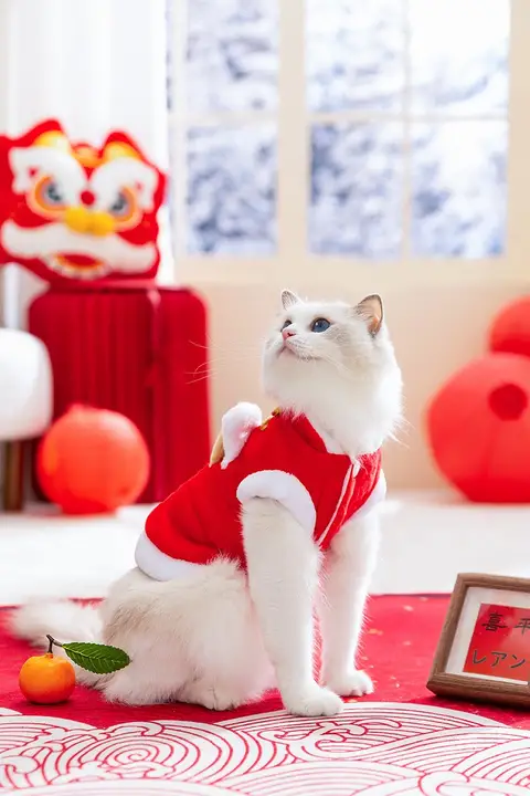 ペット用防毛秋冬用衣服【冬季・保温・猫用・ブルー】