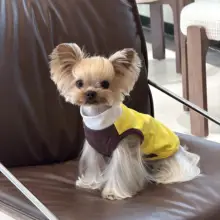 春夏用ペット服【犬用・バイカラー・ストレッチ素材・小型犬用】（セットアップ対応）