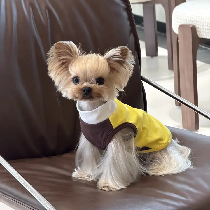 春夏用ペット服【犬用・バイカラー・ストレッチ素材・小型犬用】（セットアップ対応）