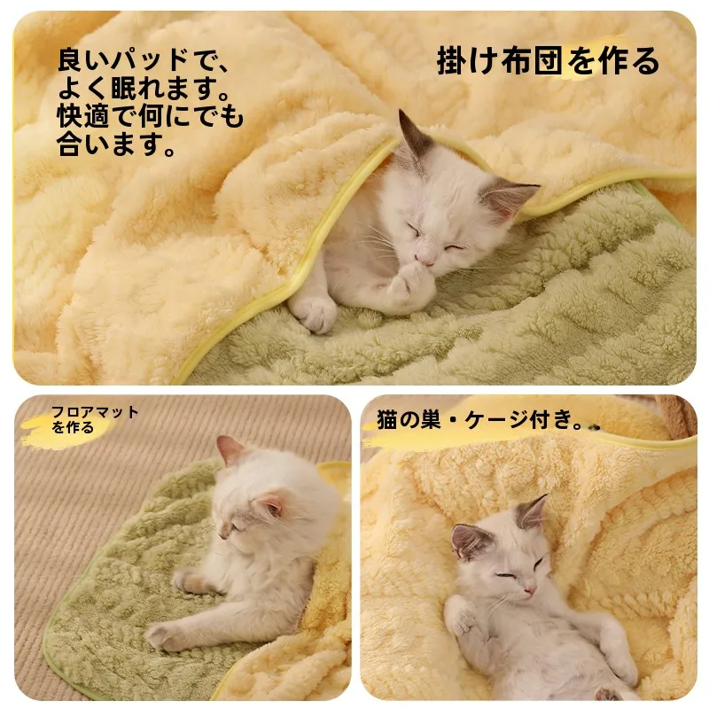 ペット用暖かい毛布：こたつペットに最適な厚手ベルベットブランケットの選び方