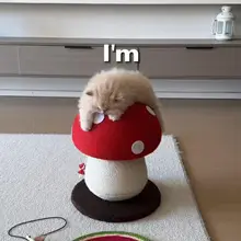 耐久性のある立式猫爪研ぎ柱【家用・省スペースデザイン・一体型】