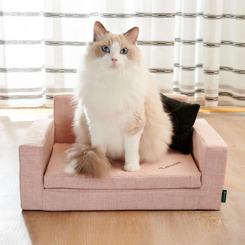 猫飼いが買ってよかったもの・悪かったもの正直に言う | 猫用ソファベッドオールシーズンモデルの実用性と設計原理