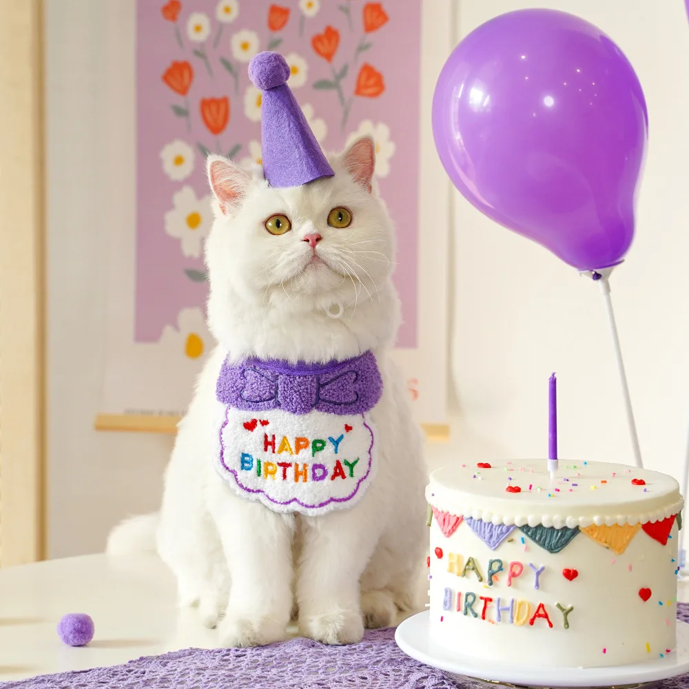 犬の誕生日プレゼントに何を買ったらいいの？実はこれ1つで満足できる