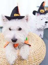 犬猫用ハロウィン帽子【ペット用・ウィザードデザイン・可愛らしいパーティーデコレーション】